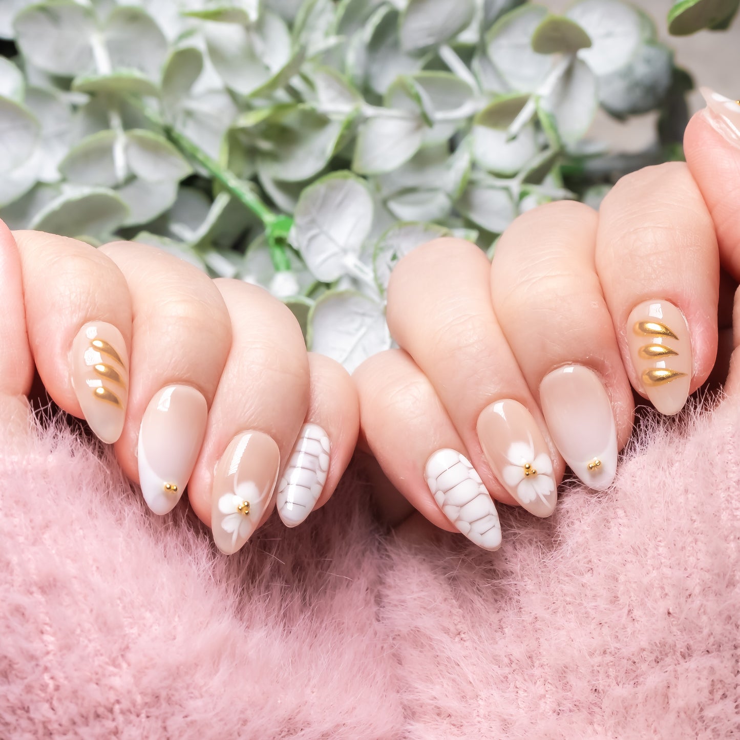 Snow Lotus
